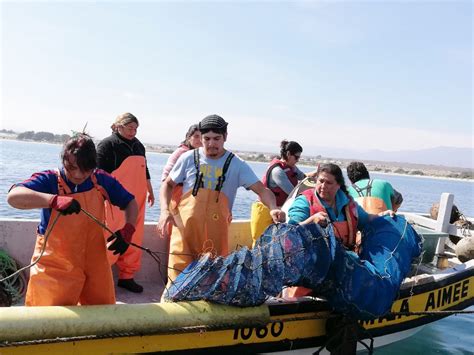 Exitoso Taller sobre Cambio Climático en Pesca y Acuicultura IFOP