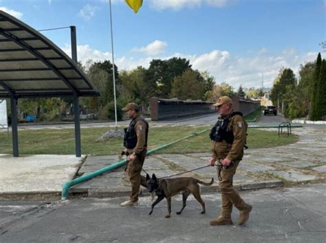 La guardia municipal empezó a utilizar perros de servicio para