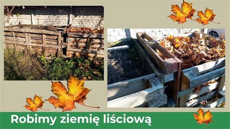 Pocz Tek Listopada W Ogrodzie Robimy Ziemi Li Ciow I Przygotowujemy