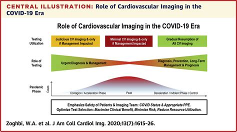 Multimodality Cardiovascular Imaging In The Midst Of The Covid