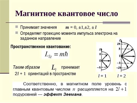 Презентация по физике Квантовые числа скачать бесплатно