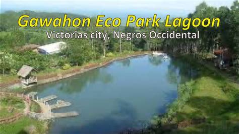 Gawahon Eco Park Lagoon Victorias City Negros Occidental Youtube