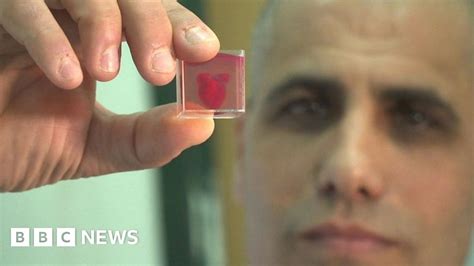 Israeli Scientists Print 3D Heart Using Human Tissue BBC News