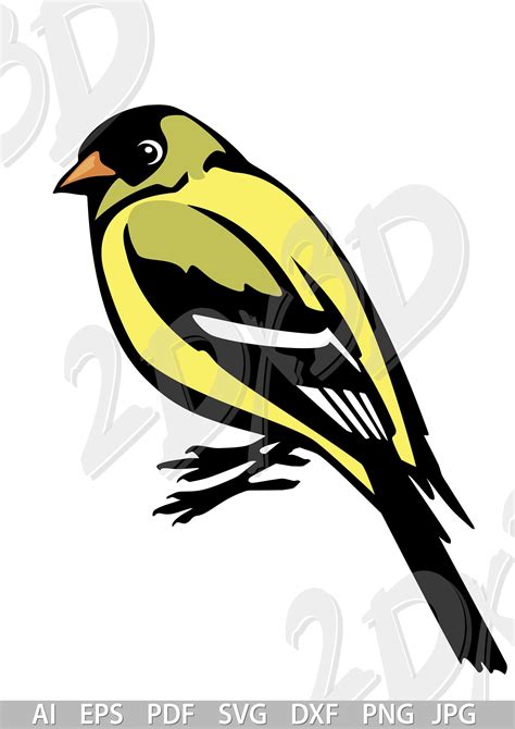 Vector Bird Eastern Goldfinch Svg Ai Eps Png Pdf  Etsy