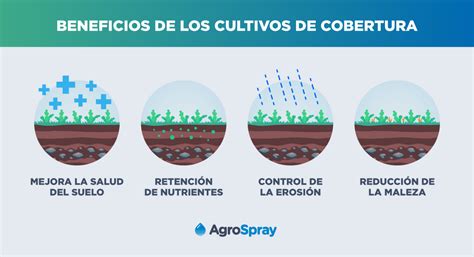 Cultivos De Cobertura Agrospray Blog