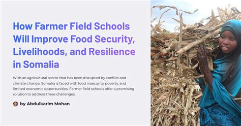 How Farmer Field Schools Will Improve Food Security Livelihoods And