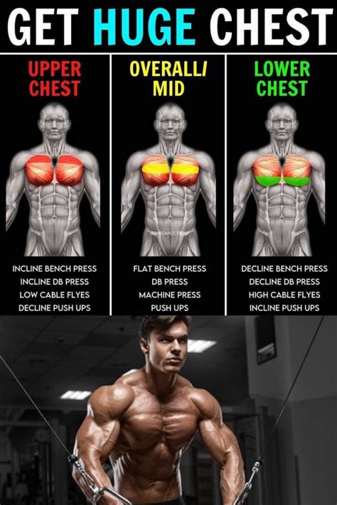 The Only 3 Chest Exercises You Need For Mass According To Science Artofit