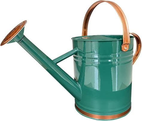 Best Watering Can In Australia 2024 Review Yard Work