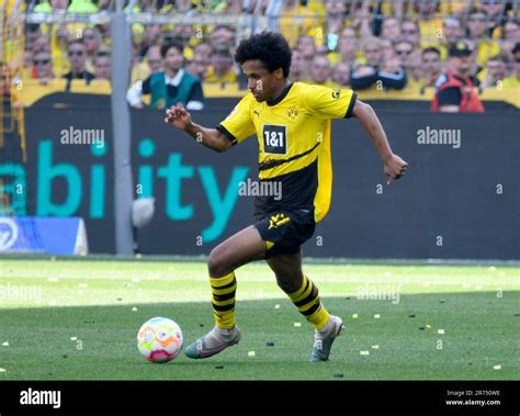 Signal Iduna Park Dortmund Deutschland Fu Ball Bundesliga