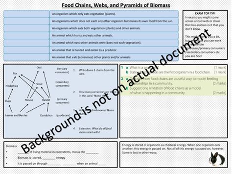 Aqa Biology Gcse Ecology Food Chains Webs Biomass Knowledge Activity