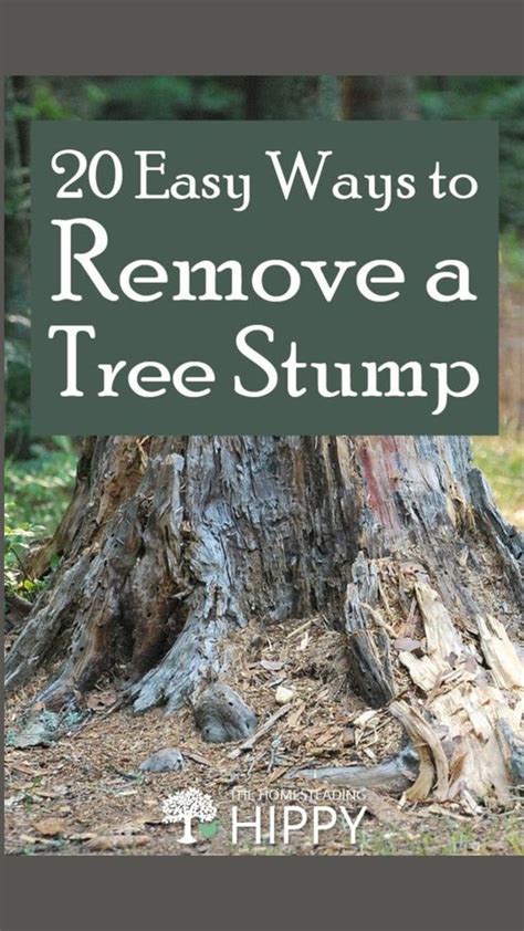 20 Easy Ways To Get Rid Of A Tree Stump Tree Stumps Diy Removing Tree Stumps Tree Stump