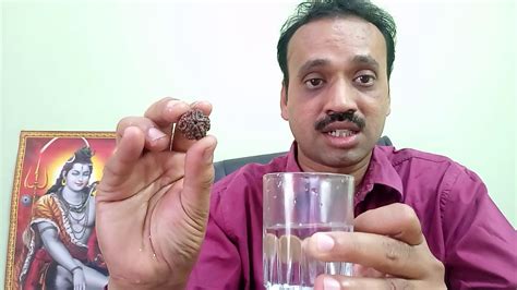 Identify Real Rudraksha How To Check Original Water Test Of Rudraksha