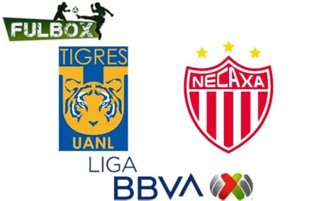 Tigres Vs Necaxa En Vivo Hora Canal Dónde Ver Jornada 16 Liga Mx