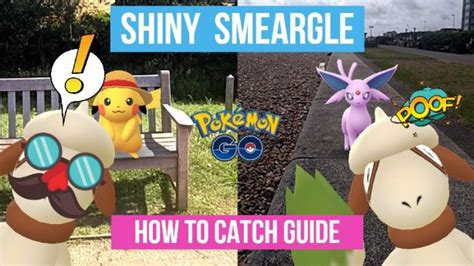 Shiny Smeargle Pokemon Go How To Catch, Evolve Guide