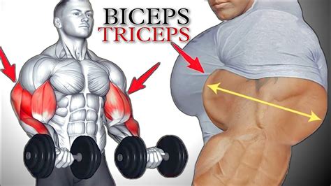 Bicep Tricep Workout At Gym Bicep Tricep Exercises Youtube