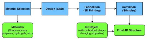 An overview of the 4D printing process. | Download Scientific Diagram