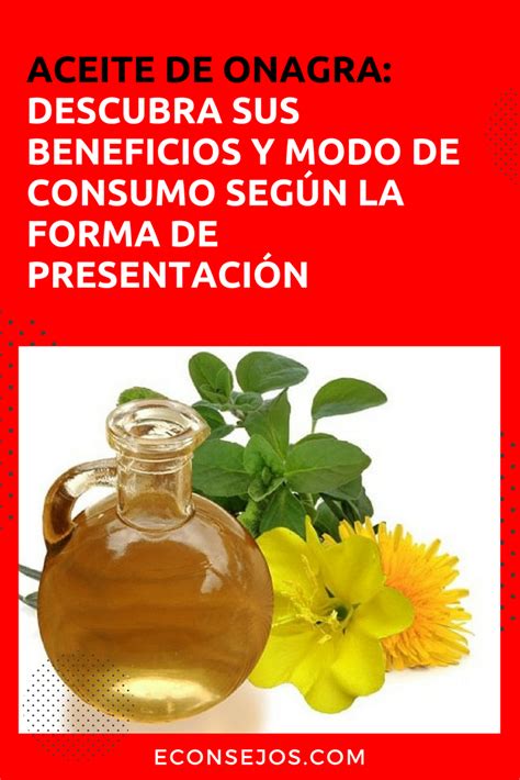 Aceite de onagra descubra sus beneficios y modo de consumo según la