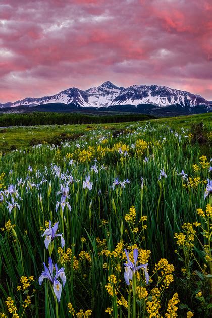 Explore The Light Photography Colorado