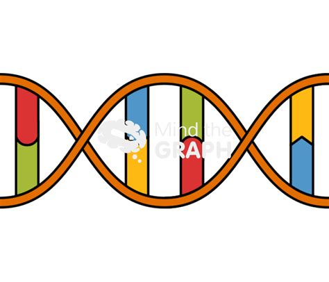 Dna Double Helix Module 2