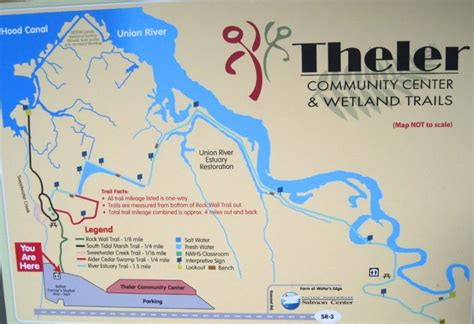 Theler Wetlands Washington Ornithological Society