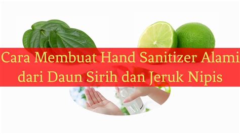 Cara Membuat Hand Sanitizer Alami Dari Daun Sirih Dan Jeruk Nipis