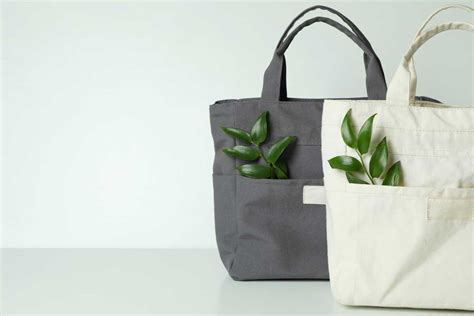 Reasons To Use Eco Friendly Bags In Your Business Divine Magazine