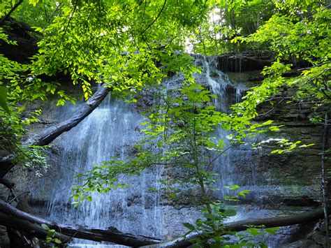 walk     waterfall  botanical life