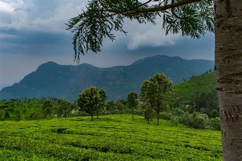 10 Best Things To Do In Coonoor For An Exciting Vacation