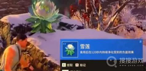 《永劫无间手游》雪莲位置介绍