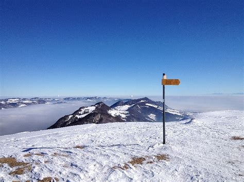 Blick nach Osten Dieser reicht bis zum Säntis Fotos hikr org