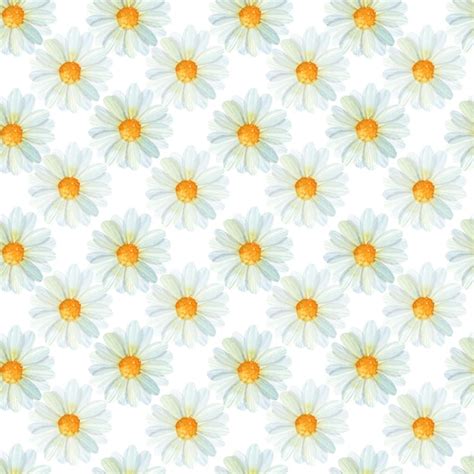 Premium Vector Watercolor Chamomile Flowers Seamless Pattern On White