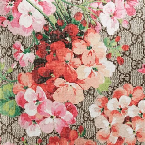 Gucci Flower Wallpapers Top Free Gucci Flower Backgrounds Wallpaperaccess