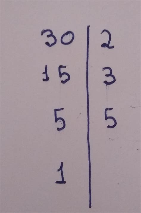 Escreva Os Divisores De 20 - Escreva Os Divisores De 20 - FDPLEARN