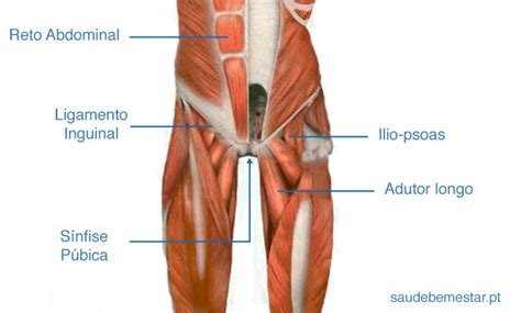 Cl Nica Do Movimento Fisioterapia Em Gaia Pubalgia