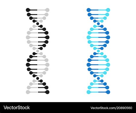 Dna Icon Chromosome Genetics Gene Molecule Vector Image