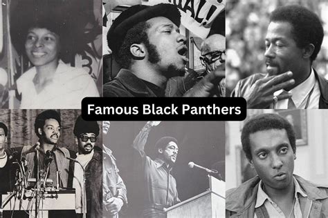 Black Panthers 1960s