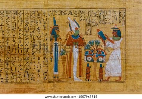 Egyptian Ancient Papyrus Different Pictures Hieroglyphics Stock Photo (Edit Now) 1557963815