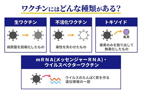 ワクチンとは？役割や種類について｜コラム｜セコム健康くらぶ Kenko｜セコム医療システム株式会社