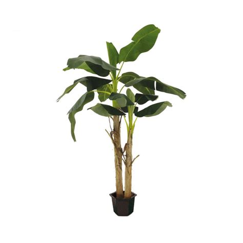 Bananier Artificiel H196cm Esprit Vegetal Now S Home