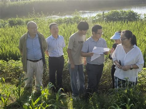 省农业外来入侵物种普查与防控工作领导小组来我市开展普查质控现场核查工作 宣城市农业农村局