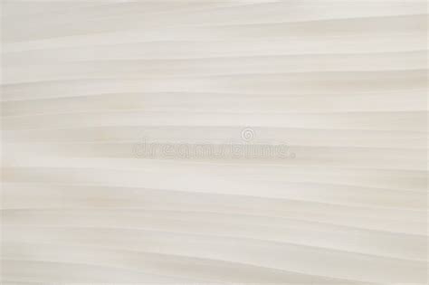 White Pleated Fabric Texture Stock Photo Image Of Affordable Plait