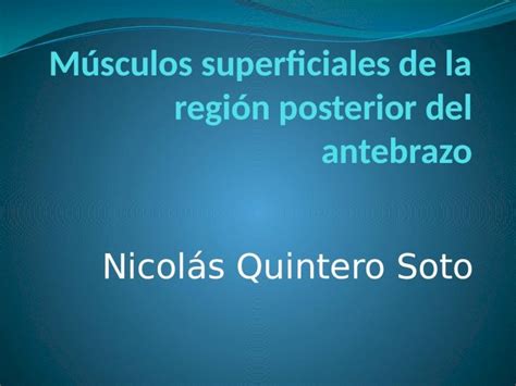 PPTX Músculos superficiales de la región posterior del antebrazo