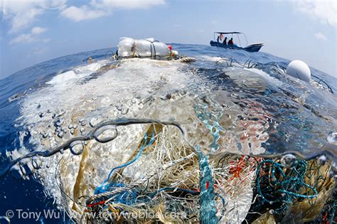 Ghost Fishing Nets Killing Marine Life