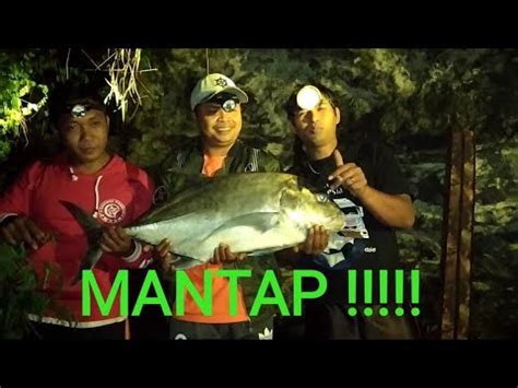 Mancing Rock Fishing Dapat Monster GT Giant Trevelly 11kg Mantap