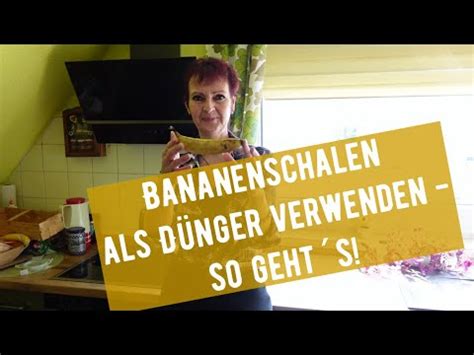 Bananenschalen als Dünger verwenden so gehts YouTube