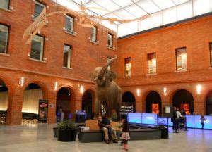 Museums in Toulouse, France