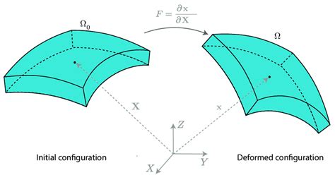 Schematic Drawing Illustrating The Initial And Deformed Configuration Download Scientific