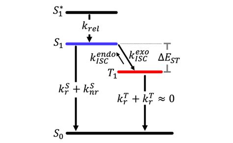 Kinetic Model Of The Cma Compounds Rates í µí± í µí± í µí± í µí±