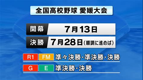 夏の高校野球愛媛大会 Nhk