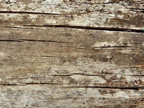 Cracked Wood Textures Free Stock Photos Rgbstock Free Stock